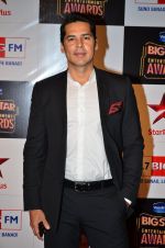 Dino Morea at Big Star Entertainment Awards Red Carpet in Mumbai on 18th Dec 2014